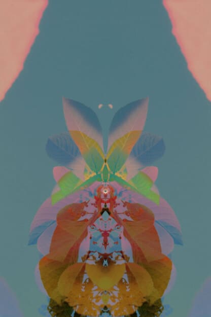 Psychotropical Cocktail