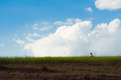 Leur horizon
