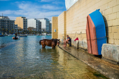 Horse Bathing