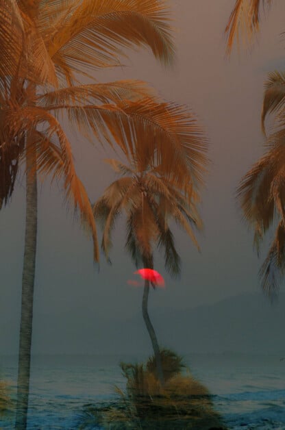 Digital Twilight