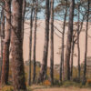 Dune 3