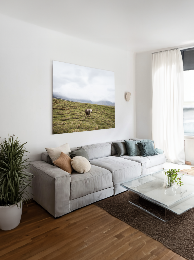 Comment décorer son salon avec photographie grand format ?